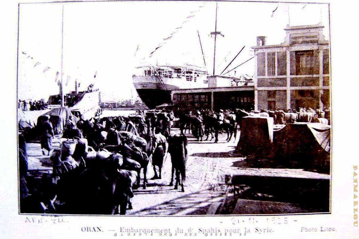 PO e- 459.jpg